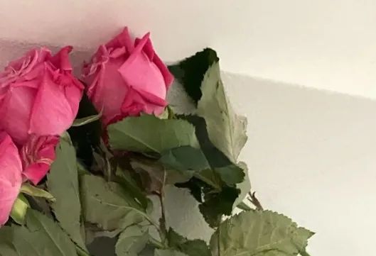 6496448b171d59cfce82e79520554df1